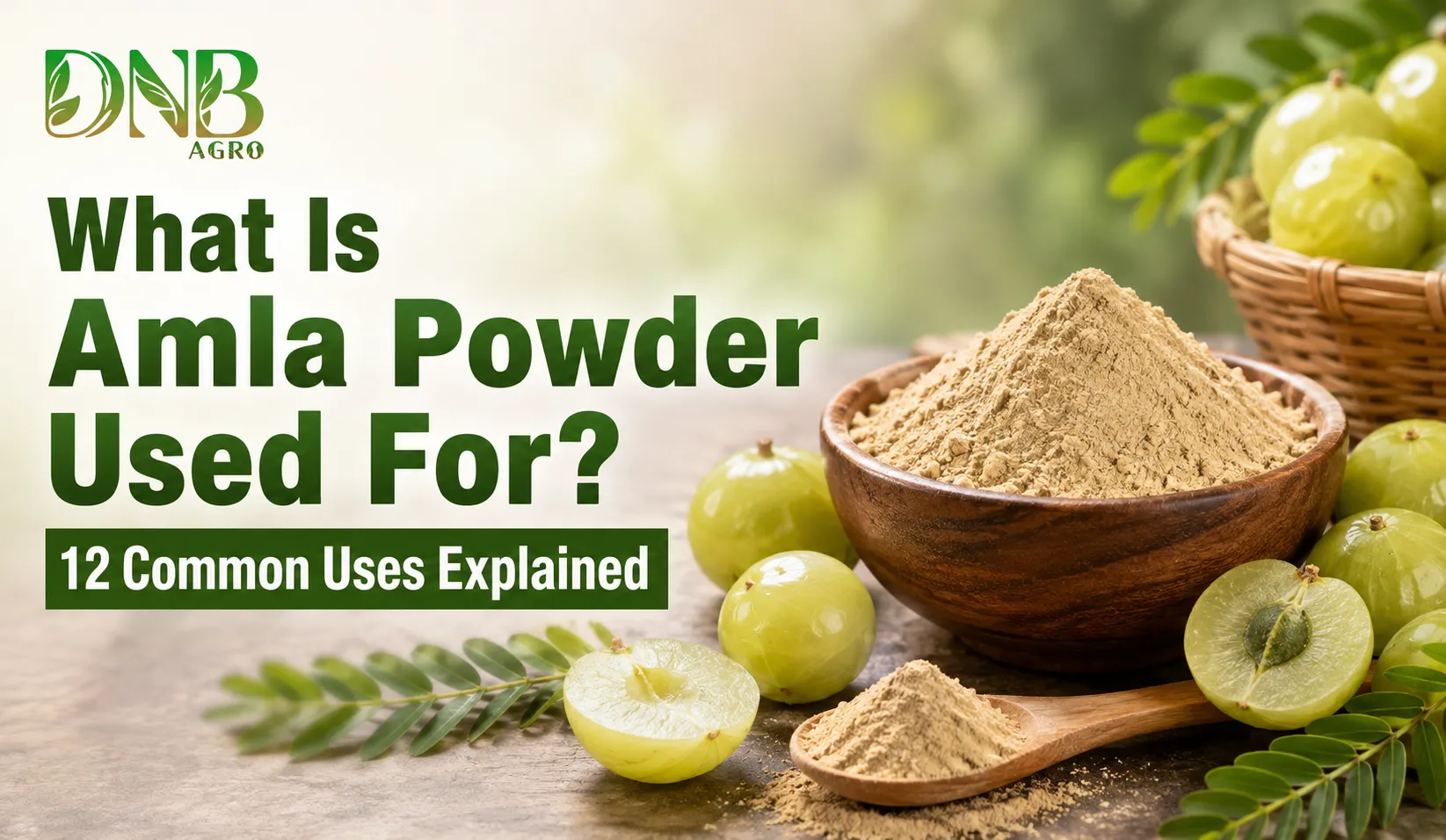 What Is Amla Powder Used For? 12 Common Uses Explained