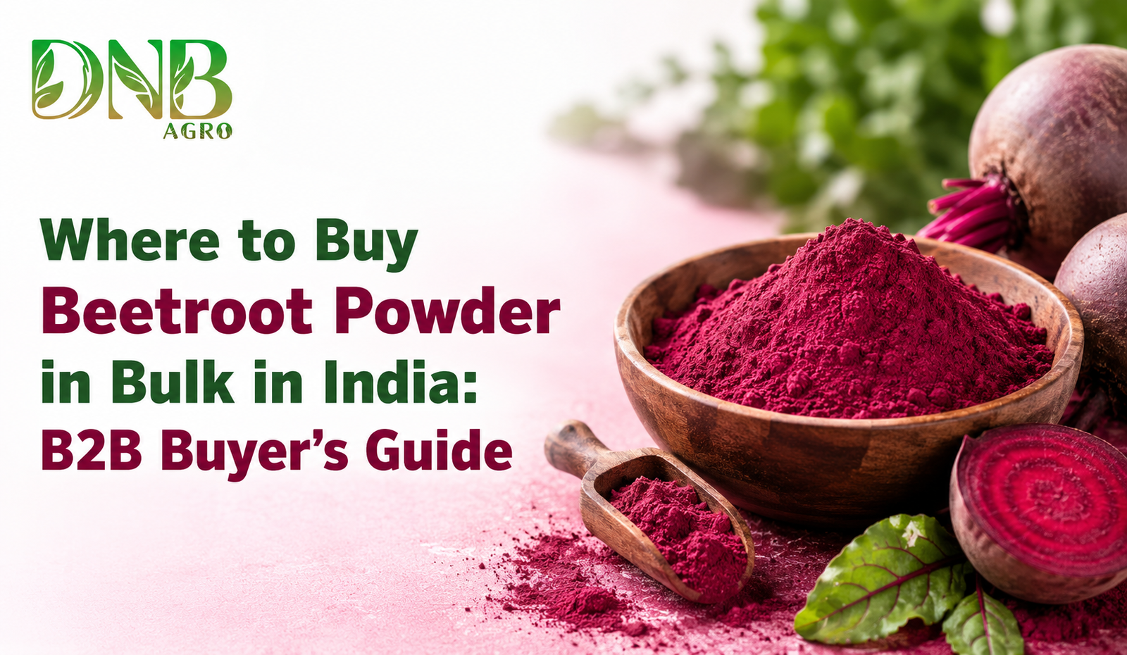 Where to Buy Beetroot Powder in Bulk in India: B2B Buyer’s Guide