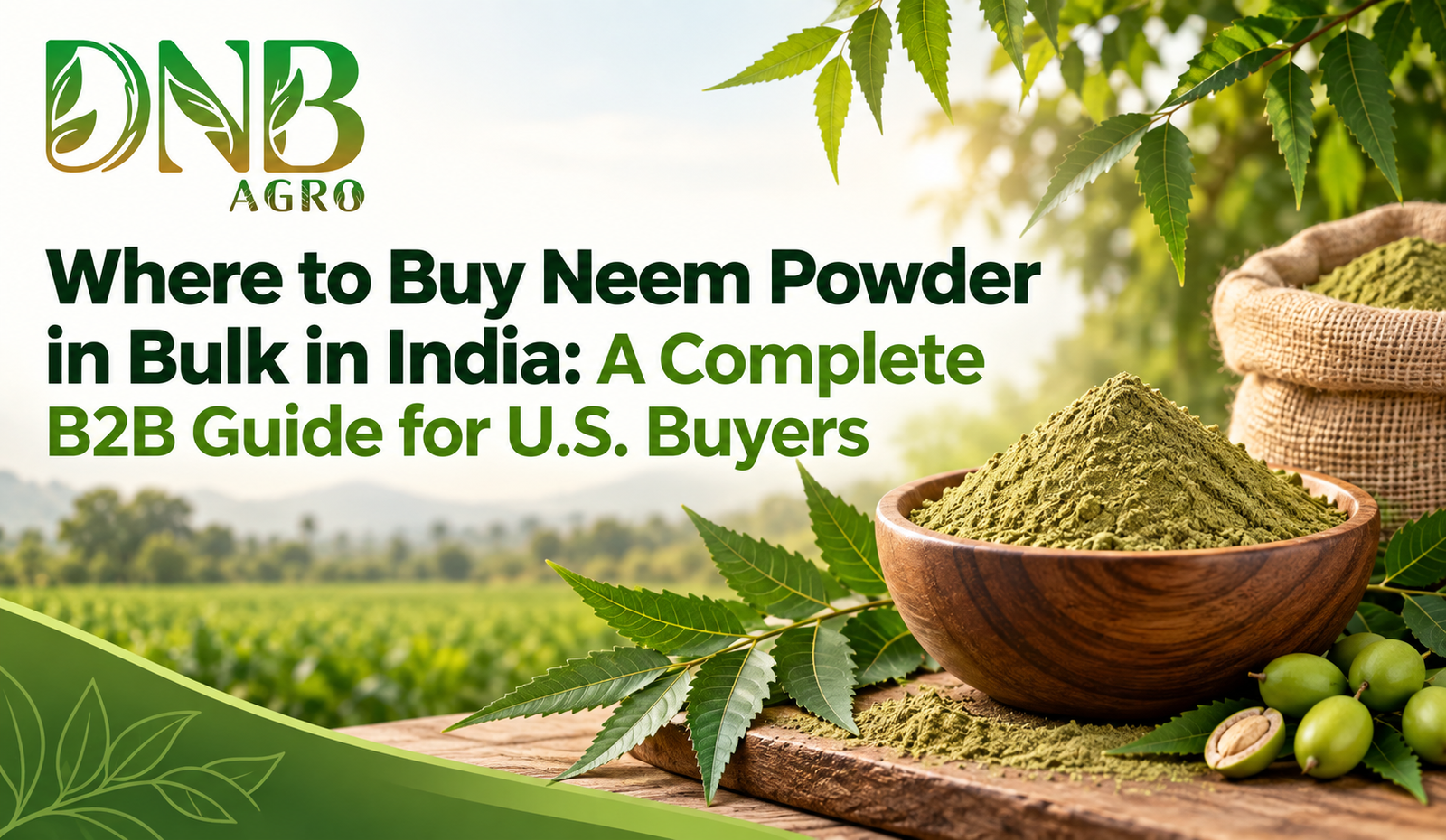 Where to Buy Neem Powder in Bulk in India: A Complete B2B Guide for U.S. Buyers